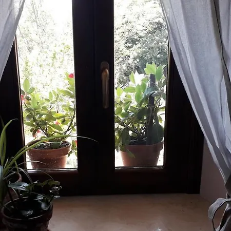 Casa Vacanza Lavanda - Giove1 Apartamento *